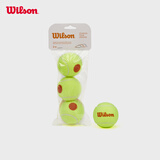 Wilson威尔胜青少年儿童训练网球低压缩网球耐磨Starter WRT137300