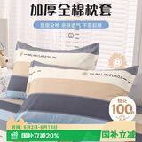 艾薇 A类枕头套纯棉家用全棉单人枕套一对枕芯套 罗马时代 48*74cm