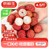 京鲜生 福建桂味荔枝 净重4.5斤 单果12g+ 新鲜水果 源头直发包邮