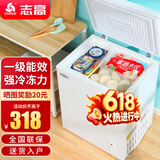 志高（CHIGO）小冰柜家用冷冻小型一级节能省电迷你卧式冷藏保鲜储母乳冷柜 【一级能效 万人推荐】 58L 单温单门