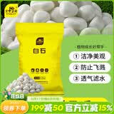 史丹利白石子水培石子天然铺面石白色鹅卵石原石庭院石头造景花盆 5斤