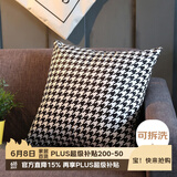 艾薇抱枕沙发靠垫床头靠枕床上腰垫办公室腰靠抱枕套含芯45*45千格鸟