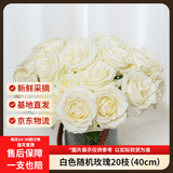 京东鲜花玫瑰花【白色随机】20枝基地新鲜日常悦己礼物山东基地源头直发