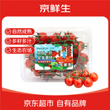 京鲜生北京串收樱桃番茄净重450g*2盒 新鲜水果小番茄西红柿 源头直发