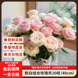 京东鲜花【粉色加白色】玫瑰各10枝如意基地鲜花插花生活礼品花束源头直发
