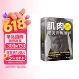 肌肉健美训练图解德拉威尔肌力量运动解剖学图谱健身书籍教程大全私人教练徒手健身精准拉伸训练书
