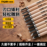 天琪锐木工雕刻刀手工木刻刀木雕工具厨师雕花剪纸 10件装