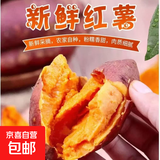 现挖红薯西瓜红蜜薯沙地香甜软糯红心番薯山芋农家自种糖心地瓜 河南西瓜红中小果2斤（净重1.8斤）