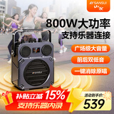 山水（SANSUI） 2026新款便携式手提蓝牙音响HS02户外大功率k歌音箱广场舞大音量低音炮乐器音箱麦克风礼物 HS02次日达【800W大功率】无话筒
