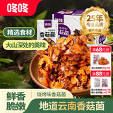咚咚香菇菌云南特产休闲零食香辣素食即食小包装追剧解馋办公室小吃 烧烤味*240g*1盒