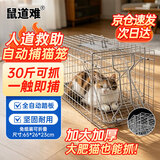 鼠道难全自动捕猫笼捉猫捕鼠神器逮猫人道救助流浪猫笼子踏板式诱食捕器