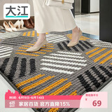 大江入户地垫门口脚垫进户门玄关进门垫入户门地垫60x90cm