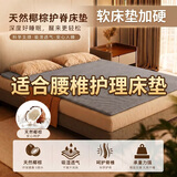床垫加硬神器薄3E天然环保椰棕沙发床板腰椎盘突出垫护脊太软改硬 1.8*2米两面高硬 (卡其黄) 2厘米厚度