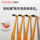 洋精灵手动磨牙器去牙黄牙渍烟斑结石搓平打磨抛光洁牙工具清洁刷 4支装