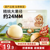 三只松鼠夏威夷果500g约24-26mm儿童每日坚果炒货休闲零食团购送礼
