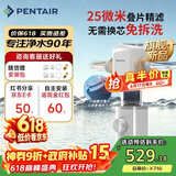 滨特尔（pentair）前置过滤器大通量家用25微米仿鳃叠片 全屋自来水管道过滤器大流量净水器排行前十名 【新品升级】L250仿鳃叠片-25μm