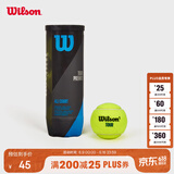 Wilson威尔胜赛事级专业网球比赛网球TOUR PREMIER罐装网球3颗装