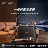 styl.myl品牌【HIFI音质】便携手提蓝牙音响无线话筒小型户外广场舞唱歌带麦克风居家艺术桌面音箱生日礼物 雅黑（双麦）【专业级K歌音响套装】