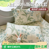 艾薇 A类枕头套枕套一对纯棉家用全棉单人枕套枕芯套 绿野仙踪48*74cm