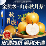 东鲜丰山东秋月梨礼盒冰糖梨脆甜梨子水果礼盒中秋送礼送人整箱多仓发货 净重8斤【单果300g+】普箱