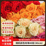 京东鲜花【随机玫瑰小盒】40枝随机2-4颜色悦己礼物山东基地新鲜源头直发