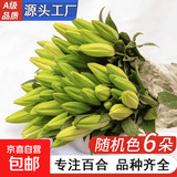 A级百合鲜花云南昆明基地直发混搭七夕节礼物家居摆件供佛 随机特价百合6朵（不指定品种，颜色）