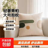 美式抱枕轻奢高级感沙发客厅靠垫靠枕床头大号靠背大抱枕套不含芯 似青柏 45x45cm【枕套+枕芯】
