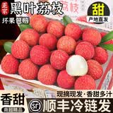 粤迎黑叶荔枝【JD顺丰冷链送货上门】新鲜荔枝甜蜜现摘现发端午盒送礼 5斤分享装【店长力荐装-狠狠划算】净4.5斤 A+级精选果【我狠甜】冷链到家