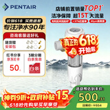 滨特尔（pentair）前置过滤器大通量家用全屋自来水管道过滤器大流量净水器排行前十名水驱涡轮+反冲洗刮洗净水器 【上门安装】S160大通量