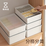 懒角落 收纳盒内衣收纳盒有盖塑料抽屉整理箱文胸内裤袜子收纳箱  带盖-内裤盒【10格】