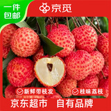 京觅福建桂味荔枝单果14g 净重4.5斤装 新鲜水果源头直发包邮