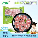上鲜无抗鸡胗800g 更安心鸡胗 鸡肫卤鸡胗烤鸡胗卤煮烧烤食材清真