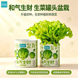 IAM City Farmer生菜罐头小盆栽家庭种植diy植物罐头绿植男孩女孩生日礼物10063