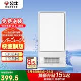 公牛风暖浴霸2600W双档取暖高亮照明纤薄箱体按键开关GY37AJT