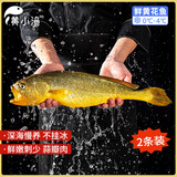 黄小渔冰鲜野化宁德野化大黄鱼1.6斤/2条黄花鱼宴请送礼礼品 源头直发