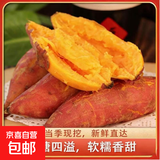 现挖沙地蜜薯红薯新鲜农家糖心番薯烤地瓜软糯批发黄心包邮 沙地蜜薯1斤装 中小果