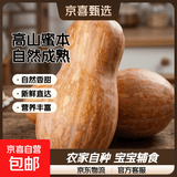 高山蜜本老南瓜农家新鲜自种自然成熟新鲜蔬菜生鲜宝宝辅食 老南瓜带箱6.5-7.5斤(2-3个装)