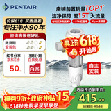 滨特尔（pentair）前置过滤器大通量家用全屋自来水管道过滤器大流量净水器排行前十名水驱涡轮+反冲洗刮洗净水器 【自主安装】S160大通量