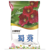 小镇有花蜀葵种子2克约180粒草花种子四季播花卉一丈红盆栽庭院播种花种子