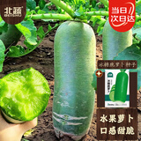 北蔬 冰糖脆水果萝卜种子苗生吃罗卜秋冬蔬菜籽 冰糖脆萝卜种子1000粒