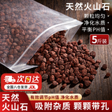 悠梵萌精品火山石鱼缸铺底水族造景养鱼过滤石绿植营养土天然铺面石5斤