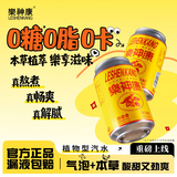 樂神康（LESHENKANG）本草植物型汽水 310ml*6罐 饮料 桐柏乐神康0糖0脂0卡气泡水送礼