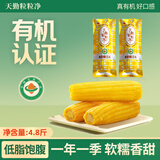 天勤粒粒净有机精品铝箔黄甜糯玉米8穗*300g（4.8斤）糯玉米真空包装早餐