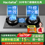 Haotaitai液化气燃气灶双灶家用煤气灶定时灶猛火台式嵌入式猛火炉具玻璃鸳鸯灶JZY-P19-D-20Y