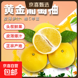 京喜加超值黄皮葡萄柚红心蜜柚柚子爆汁新鲜水果酸甜可口年货节送礼 黄皮葡萄柚带箱2斤（2-4枚装）