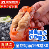 海万鲜 深海红魔虾 国产网红胭脂虾 绯红刺身虾西班牙魔鬼虾300g 虾皇级3-4条/盒 300g(净重)