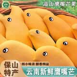 南步云南鹰嘴芒果 保山特产尖嘴小鸡芒缅甸鸡蛋钻石芒腰果杧新鲜水果 精选5斤【大果250g+】