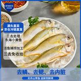 鲜到鲜得 冷冻三去小黄鱼2斤 黄花鱼 深海鱼 生鲜鱼类 烧烤食材 中秋海鲜