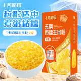 十月稻田 脱皮黄糯玉米粒(中粒) 2斤 玉米碴粥 玉米糁 玉米渣 免浸泡
