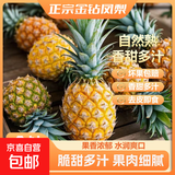 源头直发凤梨新鲜大果菠萝整箱水果风梨手撕现货直发脆甜多汁凤梨 金钻凤梨一个试吃装单果500g+